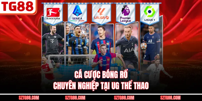 Cá cược bóng rổ chuyên nghiệp tại UG thể thao